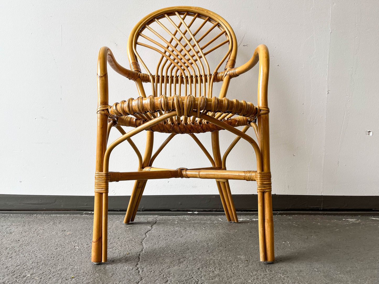 vintage armlehnenstuhl Y204_1203